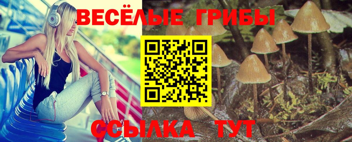 Псилоцибиновые грибы Psilocybine cubensis Норильск