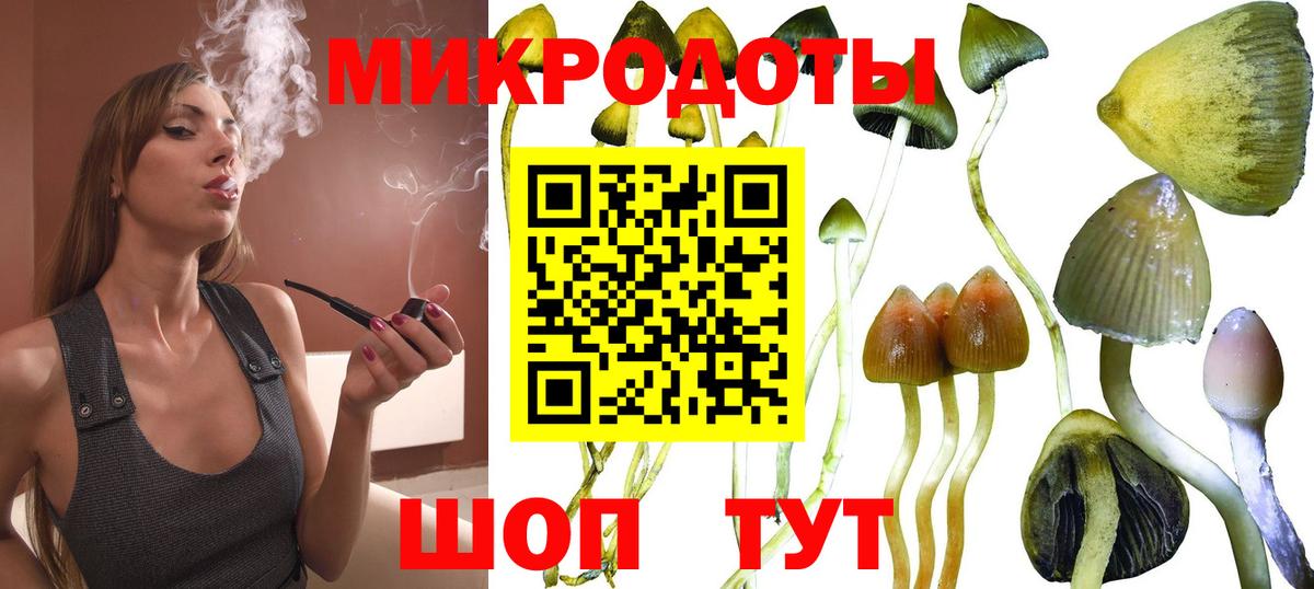Норильск  Галлюциногенные грибы GOLDEN TEACHER  Вход с VPN 